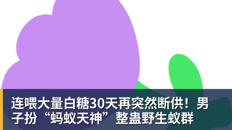 九游体育连喂大量白糖30天再突然断供!男子扮“蚂蚁天神”整蛊野生蚁群